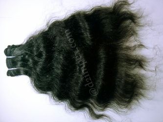 Human Hair in Vadodara